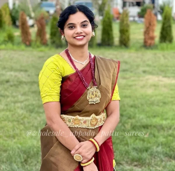 Uppada Pattu Sarees with price