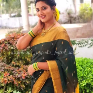 Uppada Pattu Sarees with price