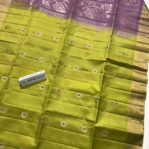 Kanchi Pattu Saree