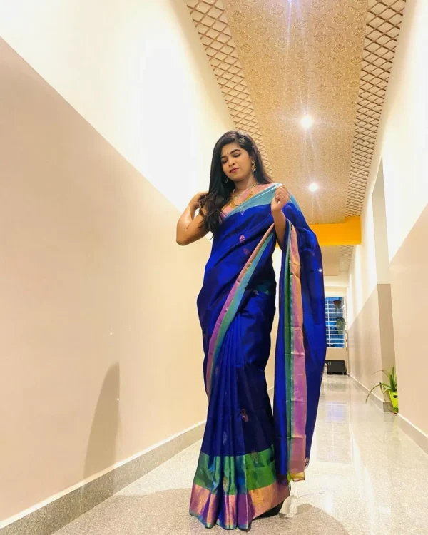Uppada Pattu Sarees with price