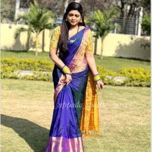Uppada Pattu Sarees with price