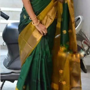 Uppada Pattu Sarees with price