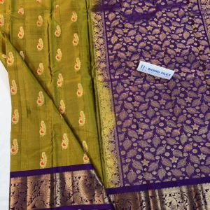 Kanchi Pattu Allover Buti Equal Border Saree