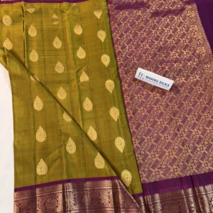 Kanchi Pattu Allover Buti Equal Border Saree