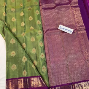 Kanchi Pattu Allover Buti Equal Border Saree