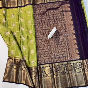 Kanchi Pattu Equal Checks Meena Buta Saree