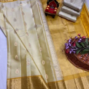 Kanchi Pattu Equal Border Saree