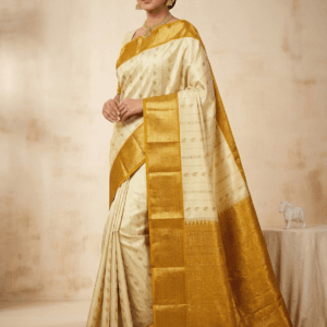 Vintage Kanchi Pattu Equal Border Saree