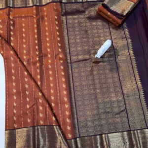 Vintage Kanchi Pattu Sarees