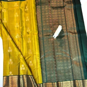 Kanchi Pattu Equal Border Saree