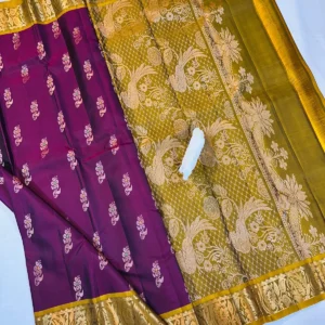 Kanchi Pattu Equal Border Saree