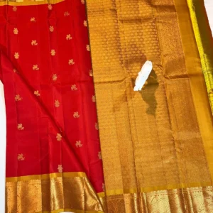 Kanchi Pattu Equal Border Saree