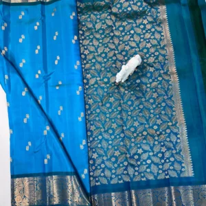 Kanchi Pattu Equal Border Saree
