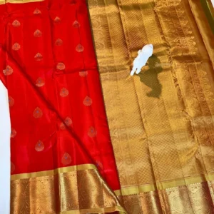 Kanchi Pattu Equal Border Saree