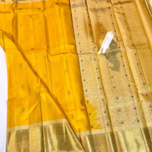 Kanchi Pattu Equal Border Saree