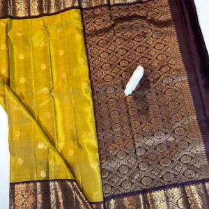 Kanchi Pattu Equal Border Saree